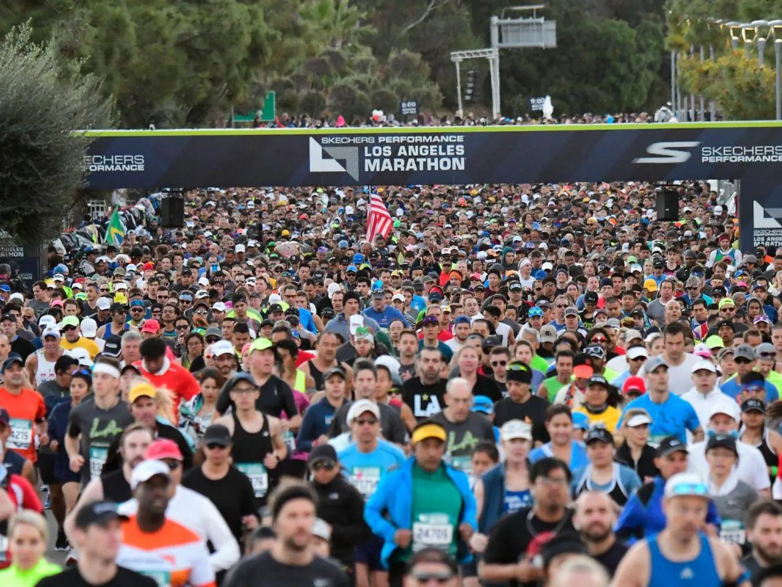 Skechers performance los angeles marathon 2019 on sale